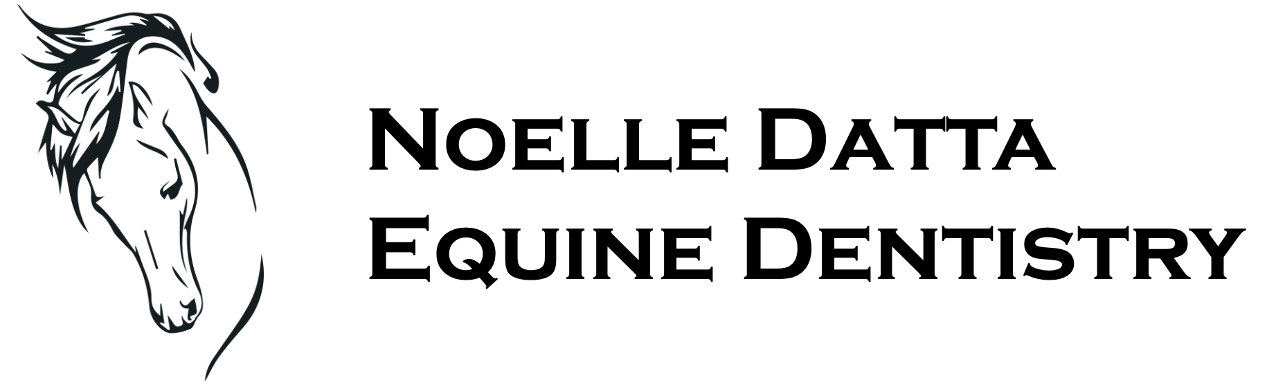 Noelle Datta Equine Dentistry